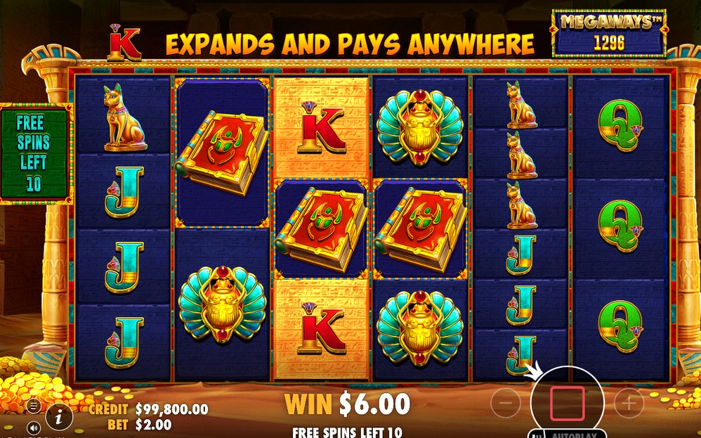 Free Spins round showing the Special Expanding Symbol